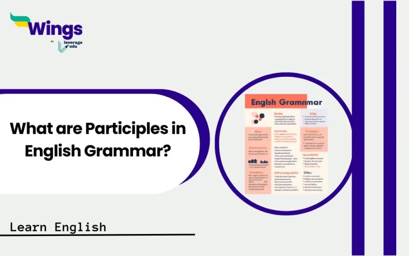 What are Participles in English Grammar?