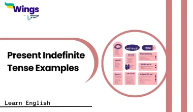 Present Indefinite Tense Examples