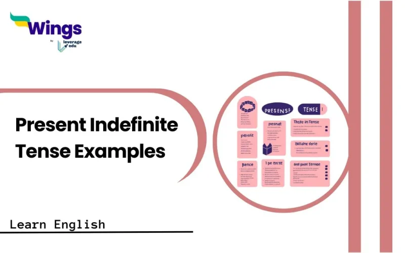 Present Indefinite Tense Examples