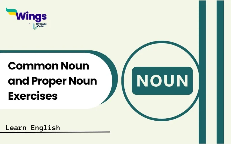 Common Noun and Proper Noun Exercises