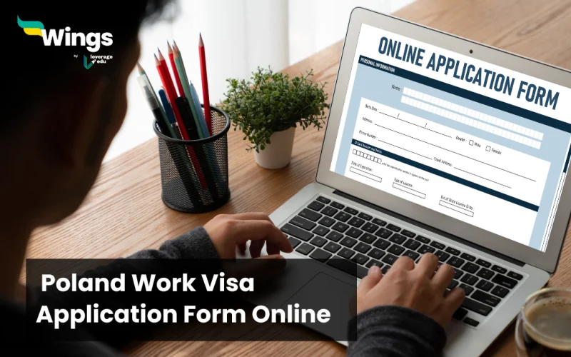 Poland work visa application form online