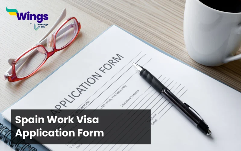 Spain work visa application form