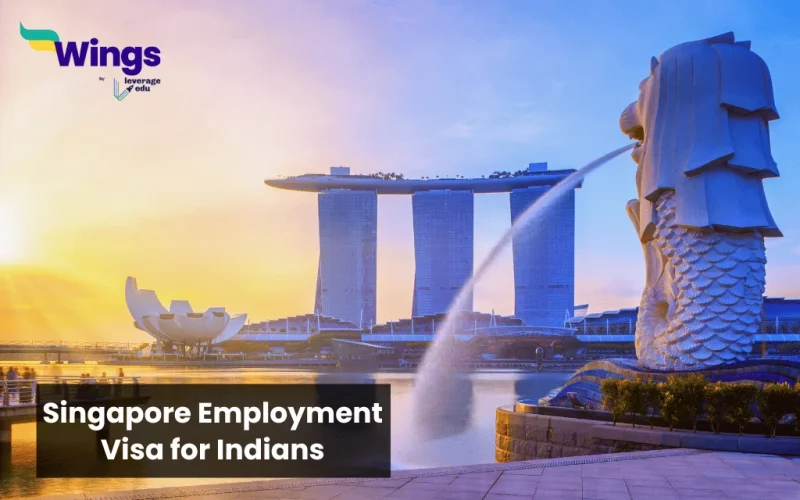 singapore employment visa for indians