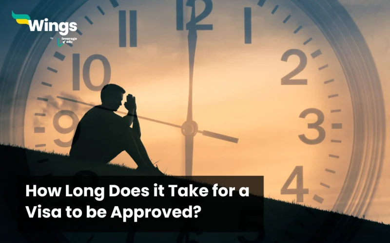 how long does it take for a visa to be approved