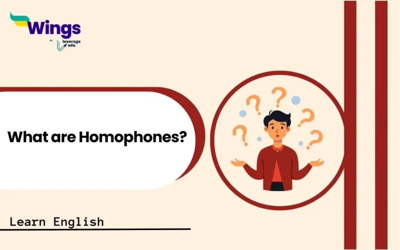 What are Homophones