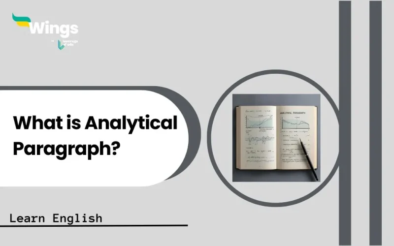 What is Analytical Paragraph