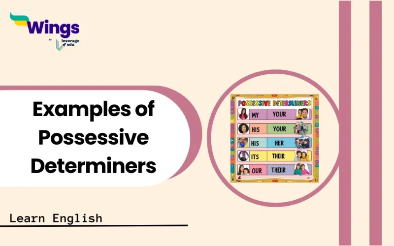 Examples of Possessive Determiners