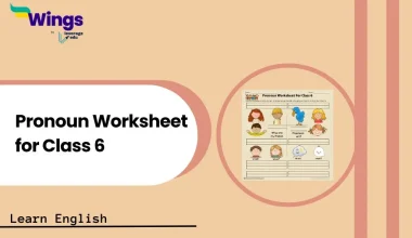 pronoun worksheet for class 6