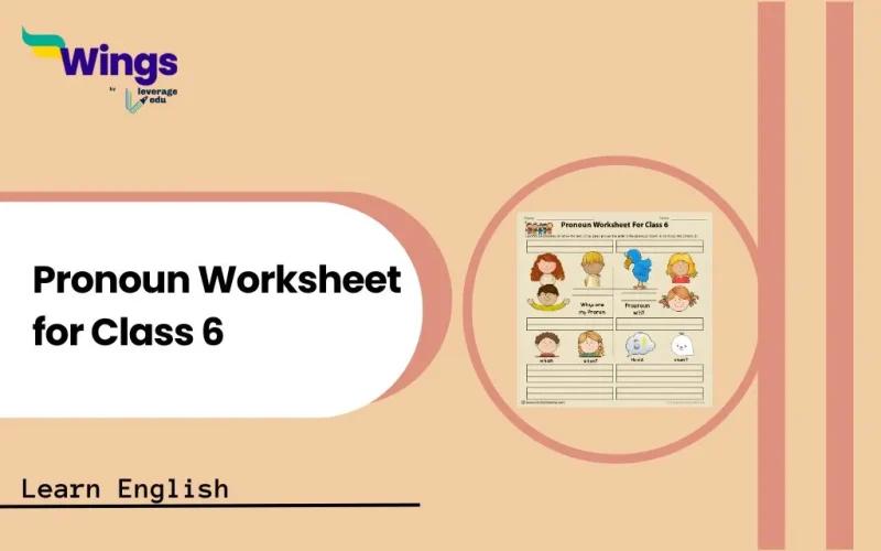 pronoun worksheet for class 6