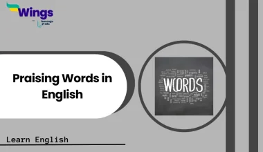 Praising Words in English