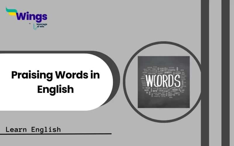 Praising Words in English