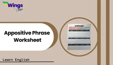 Appositive Phrase worksheet with answers