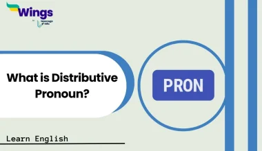 What is Distributive Pronoun