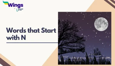 Words-that-start-with-N