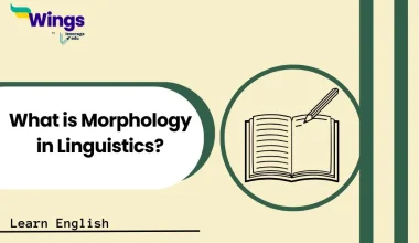 What is Morphology in Linguistics