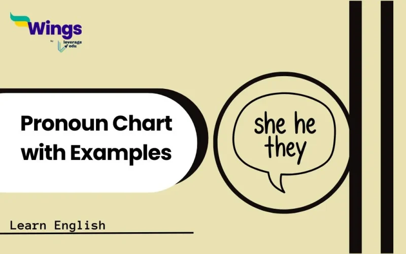 Pronoun Chart with Examples