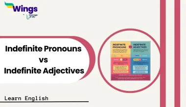 Indefinite Pronouns vs Indefinite Adjectives