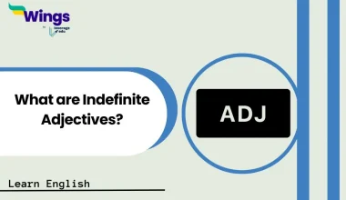 What are Indefinite Adjectives