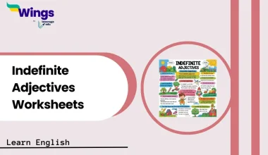Indefinite Adjectives Worksheets