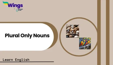 Plural Only Nouns