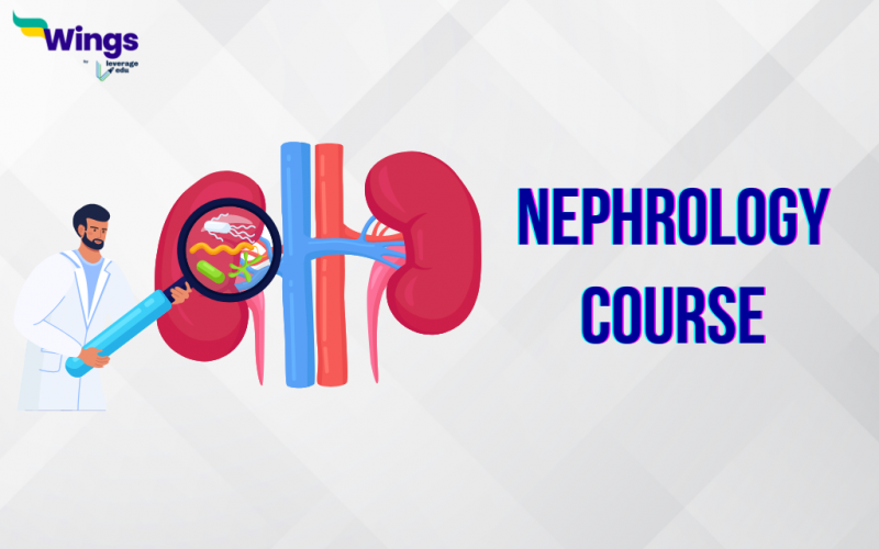 nephrology