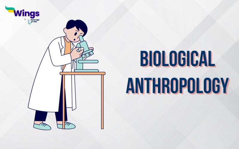 Biological Anthropology