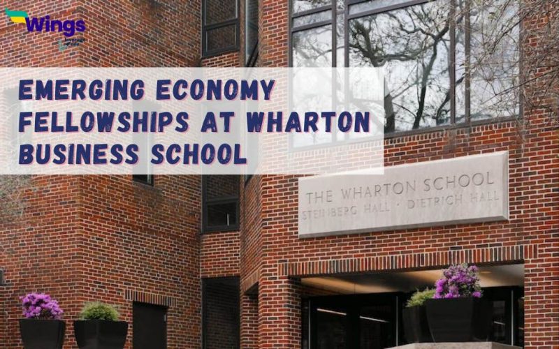 emerging economy fellowships