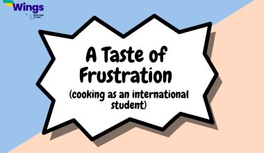 A Taste of Frustration Cooking as an International Student