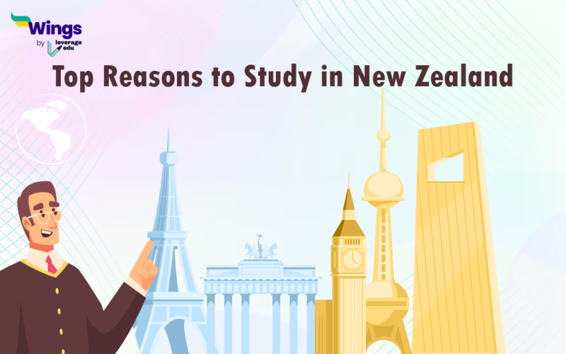reasons to study in new zealand
