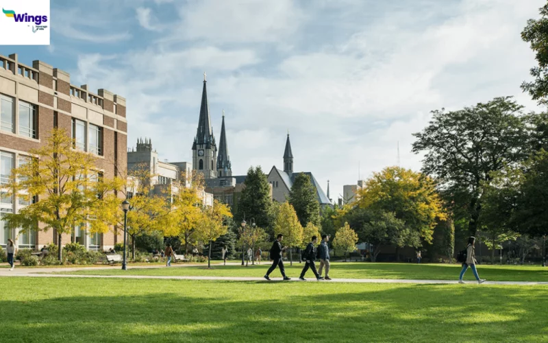 Princeton Review Reviewed Marquette for ROl and Internships
