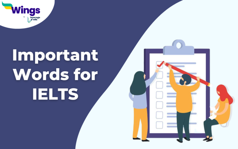 Important Words for IELTS