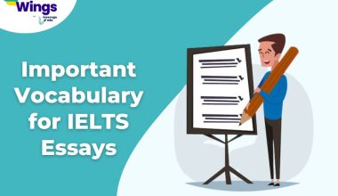 Important Vocabulary for IELTS Essays
