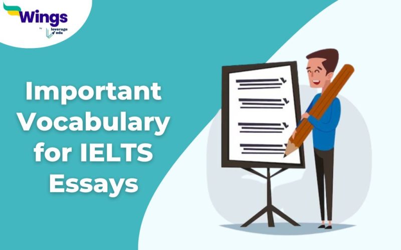 Important Vocabulary for IELTS Essays