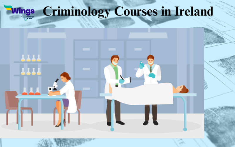 criminology courses ireland