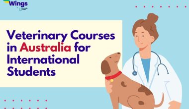Veterinary Courses in Australia