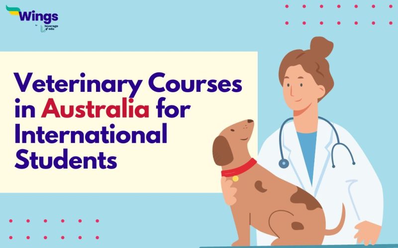 Veterinary Courses in Australia