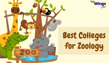 best colleges for zoology