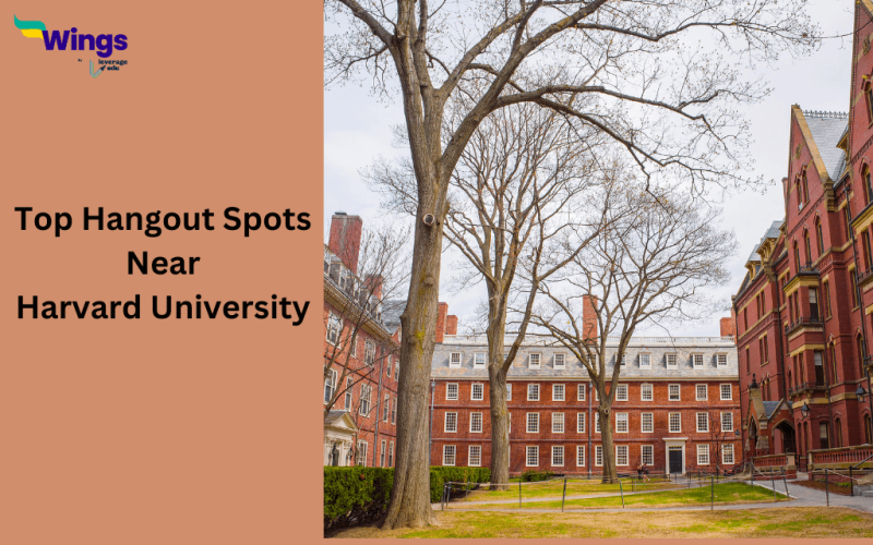 Top hangout spots near Harvard University