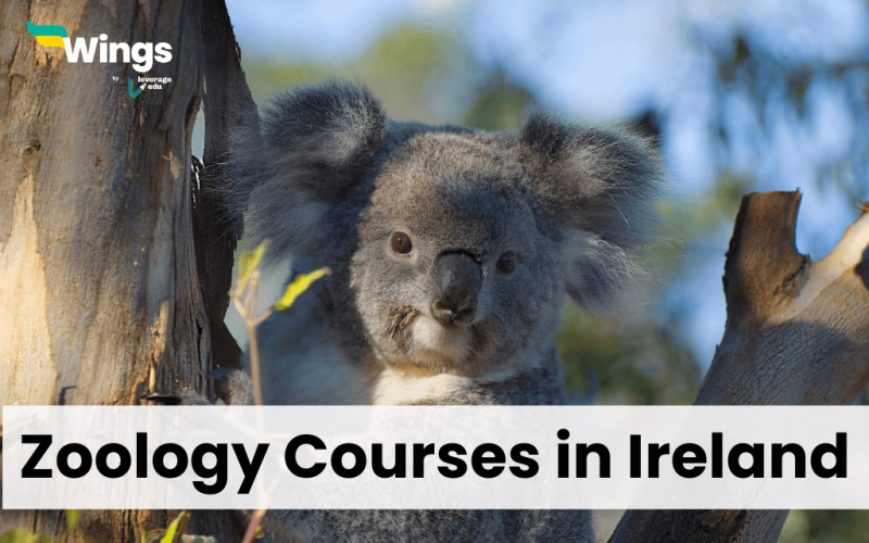 Zoology Courses in Ireland