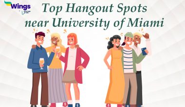 Top Hangout Spots near University of Miami