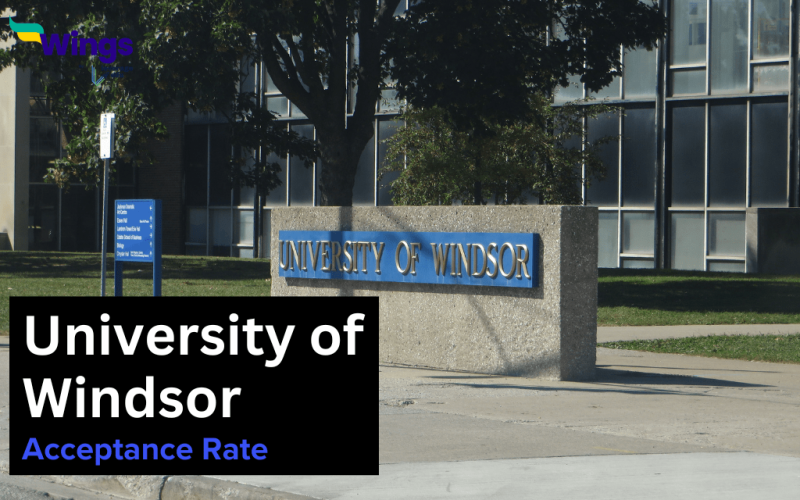 University of Windsor Acceptance Rate