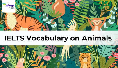 IELTS Vocabulary on Animals 