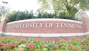 Study in US: University of Tennessee Offers Students Innovative Program to Empower Education