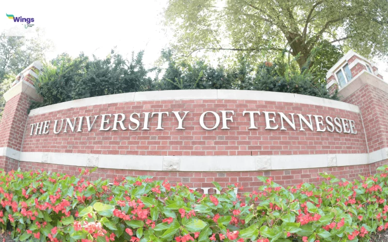 Study in US: University of Tennessee Offers Students Innovative Program to Empower Education