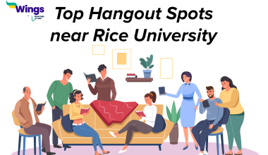 Top Hangout Spots near Rice University