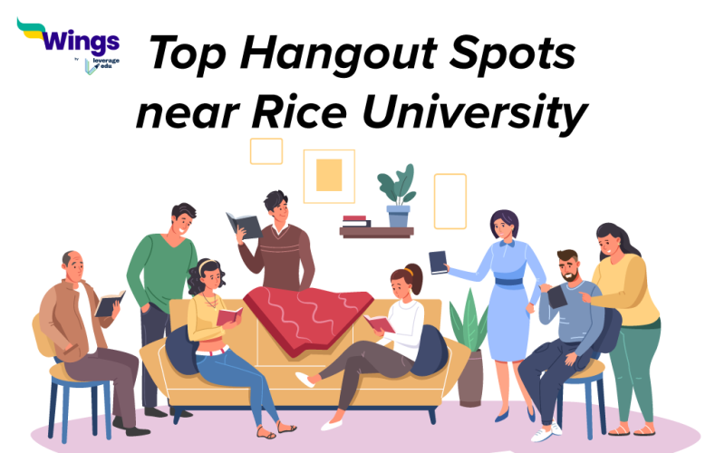 Top Hangout Spots near Rice University