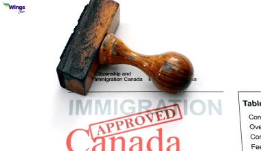 Study in Canada: Identify These 3 Immigration Frauds Before Applying! Know the Safest Routes to Immigrate as a Student