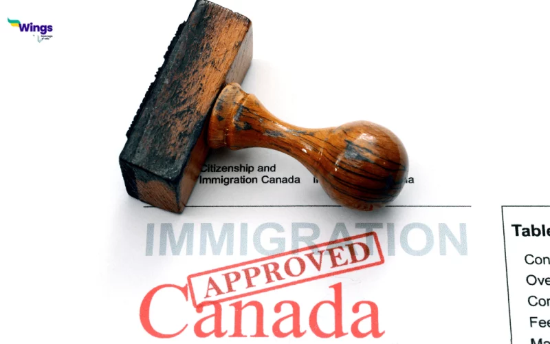 Study in Canada: Identify These 3 Immigration Frauds Before Applying! Know the Safest Routes to Immigrate as a Student