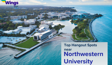 Top Hangout Spots near Northwestern University