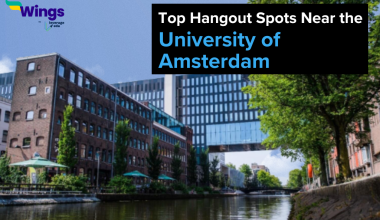 Top Hangout Spots Near the University of Amsterdam